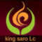 Shenzhen King Saro Lc Photoelectric Co (Китай)