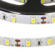 Светодиодная лента белая 12V smd3528 60LED/м IP65