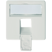 F00020A0123 - Лицевая панель для установки на розетки для внутреннего монтажа, на 1 модуль