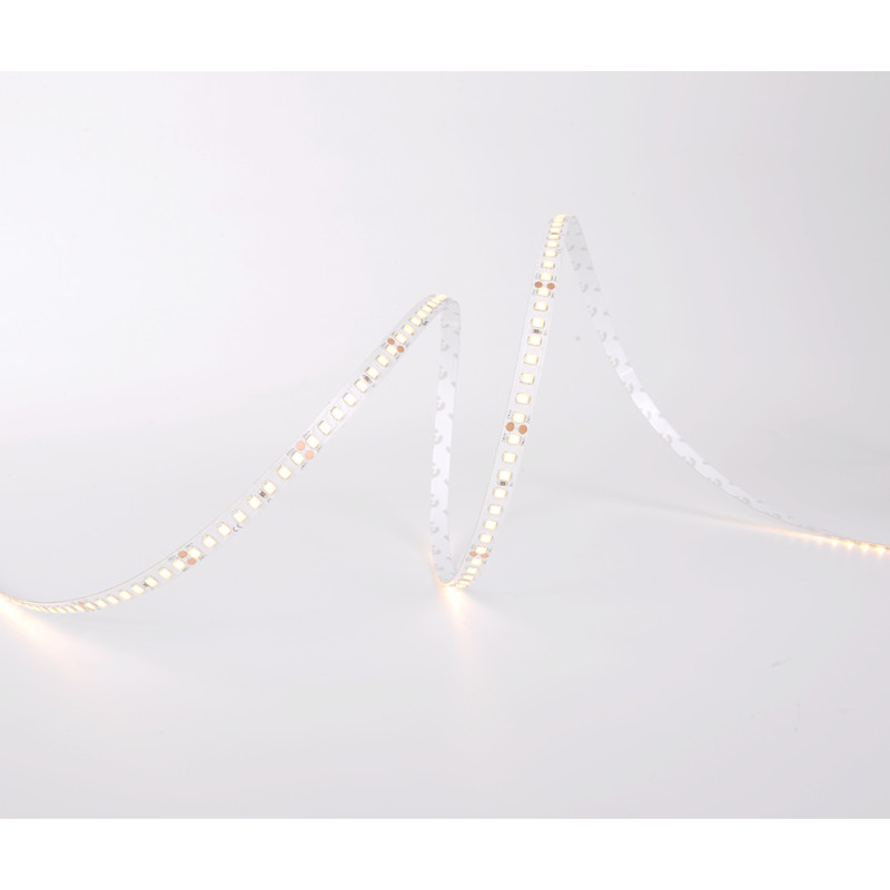 D8160-24V-8mm-DW - Светодиодная лента PREMIUM+, 160х SMD2835, 24VDC, 12 Вт/м, 8*5000, IP33