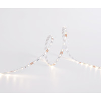 DJ60-12V-8mm-WW - Светодиодная лента PREMIUM, 60х SMD2835, 12VDC, 4.8 Вт/м, 8*5000, IP33