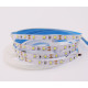 KS12283560ww8mm - Светодиодная лента 60 led/m SMD2835,12V,4.8W,IP20,8мм, цвет белый теплый