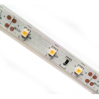 MTK-300BF3528-12-Б - Світлодіодна герметична стрічка SMD3528-Б, колір - синій, 60 д/м, 12В