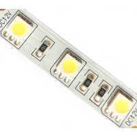 MOTOKO-300W5050-12 - Светодиодная лента SMD5050, цвет - белый-холодный (7000-7500К), 60 д/м