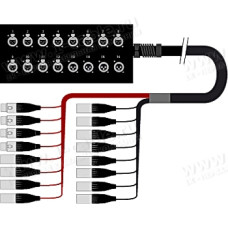 1T-SBPW12/4XB-100 - 16-кан.(12-IN/4-OUT) студийная мультикорная система Stage Box (12x XLR гнездо, 4x XLR3 штекер)