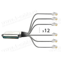 1T-BIT50-12MM-01 Кабель для передавання даних (тип CISCO - CAB-5-M120HYD), RJ21 Telco/Amphenol RJ21 штекер