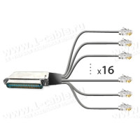1T-BIT51-16MM-02 Кабель для передавання даних, RJ21 Telco/Amphenol RJ21 штекер >16x RJ11 штекер