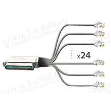 1T-BIT53-24MM-01 Кабель для передачи данных, RJ21 Telco/Amphenol RJ21 штекер >24x RJ11 штекер