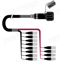 1T-PW10/2TX-03 12-кан.(10-IN/2-OUT) студійний аудіомультикорний кабель, Tourline 37-пін гніздо