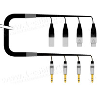 1T-PW2/2JX-01 4-кан.(2-IN/2-OUT) студійний аудіокабель, коса (2x XLR3 штекер, 2x XLR3 гніздо)