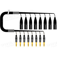 1T-PW0/8JX-01G 8-кан.(8-IN) студійний аудіокабель, коса (8x XLR3 штекер)