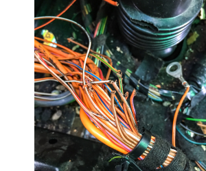 повреждённая грызунами проводка в машине