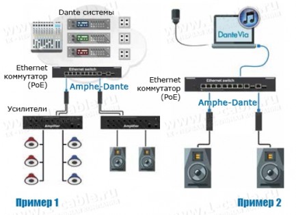 Фото3 RJD1.12-0050 Адаптер-конвертер сигналов протокола Dante® audio в аналоговые звуковые сигналы